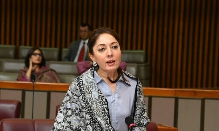 سہیل آفریدی نے عہدہ سنبھالتے ہی سیاسی بالغ نظری کے بجائے ہمیشہ الزام تراشی کا راستہ اختیار کیا،شرمیلا فاروقی