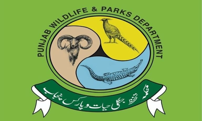 محکمہ تحفظ جنگلی حیات کاجانوروں و پرندوں کے تحفظ و فروغ کیلئے بھرپور صلاحیتوں کا مظاہرہ