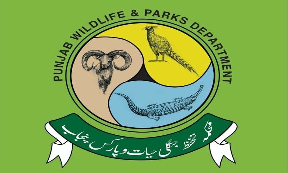 محکمہ تحفظ جنگلی حیات کاجانوروں و پرندوں کے تحفظ و فروغ کیلئے بھرپور صلاحیتوں کا مظاہرہ