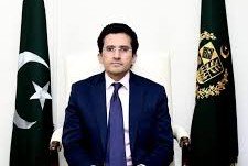 وفاقی وزیر پٹرولیم علی پرویز ملک
