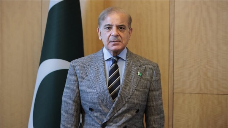 معاشی استحکام اجتماعی کاوشوں کا نتیجہ ہے،قومی معیشت اب صنعت کاری اور برآمدات میں اضافہ پر مبنی پائیدار ترقی ا ور روزگار پیدا کرنے پر توجہ مرکوز کرنے کی متقاضی ہے،پاکستان دنیا کے نقشے پر ایک طاقتور معیشت بن کر ابھرے گا ، وزیراعظم محمد شہباز شریف