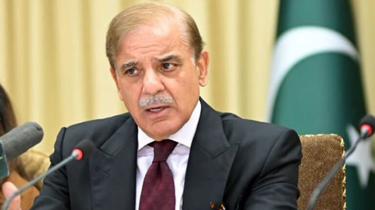 وزیراعظم محمد شہباز شریف کا شمالی وزیرستان میں انٹیلی جنس بیسڈ آپریشن کے دوران 7خوارج جہنم واصل کرنے پر سکیورٹی فورسز کو خراجِ تحسین