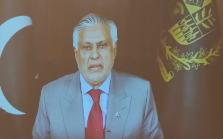 مشترکہ آبی وسائل پر تعاون علاقائی امن، معاشی ترقی اور ماحولیاتی پائیداری کے لیے ناگزیر ہے،سندھ طاس معاہدے پر من وعن عمل درآمد کیا جائے، نائب وزیراعظم اسحاق ڈار