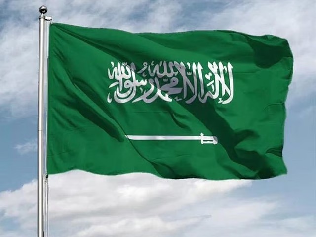 سعودی خاتون دیما الیحییٰ اقوام متحدہ کے اعلیٰ سطح کے پینل کی رکن مقرر