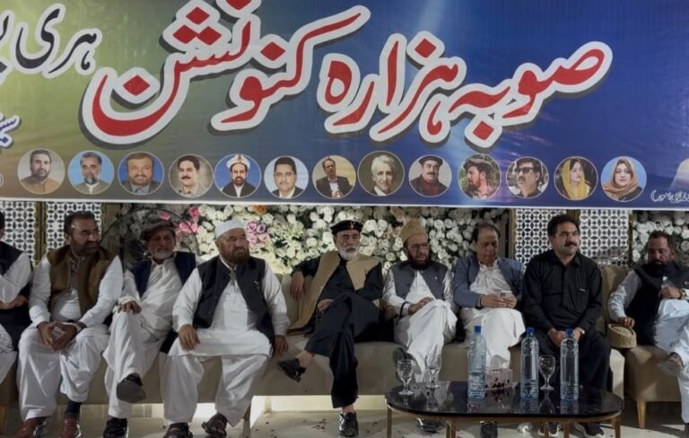 ہزارہ صوبے کا مطالبہ مزید مؤخر نہ کیا جائے، معاملہ اسمبلیوں میں زیرِ غور ہے، سردار محمد یوسف