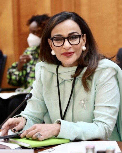 پی ٹی آئی حکومتی مذاکراتی ٹیم رکن نائب صدر پیپلز پارٹی سینیٹر شیری رحمان کی میڈیا سے گفتگو