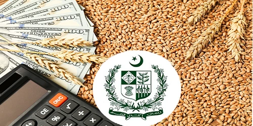 گندم کی بروقت کاشت بہتر پیداوار کی بنیاد ہے، کاشتکار 20 نومبر تک بجائی مکمل کریں، ڈاکٹر ساجد الرحمن