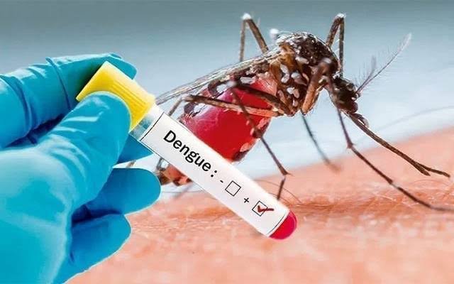 راولپنڈی میں ڈینگی کے 37 کیسز کی تصدیق