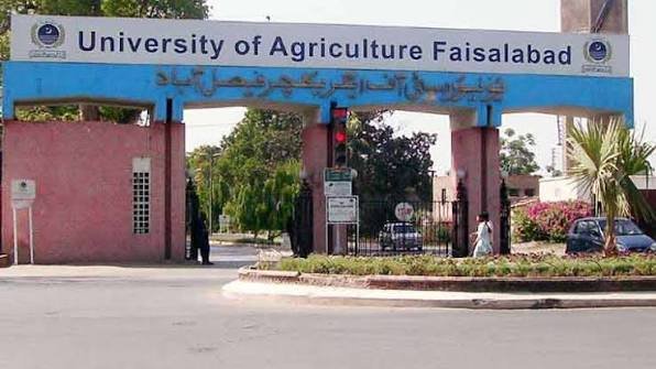 زرعی یونیورسٹی فیصل آباد میں عالمی یومِ حیوانات کے موقع پر آگاہی واک اور تعلیمی سرگرمیوں کا انعقاد