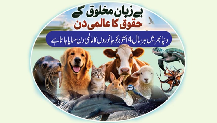 عالمی یوم حیوانات پر لاڑکانہ میں خصوصی تقریب
