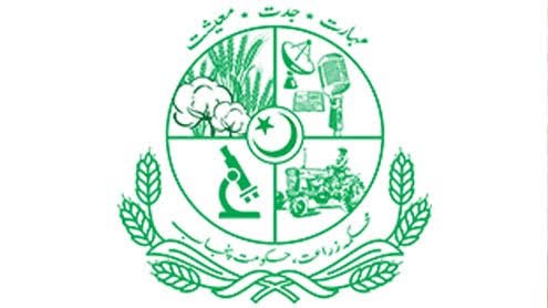 سموگ ایک شدید ماحولیاتی اور انسانی صحت کا مسئلہ ہے، ڈپٹی ڈائریکٹر زراعت اوکاڑہ